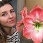 kak-uhazhivat-za-tsvetkom-gippeastrum-v-domashnih-usloviyah